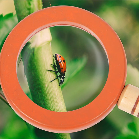 Centură de scule pentru exploratori, Small Foot, Discover, 3 ani+