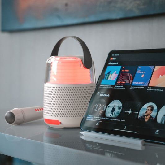 Boxă Bluetooth cu efecte de lumini și microfon, Set Karaoke, MOB, Gri