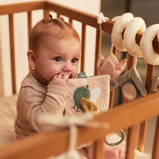 Cub senzorial din pluș cu activități pentru bebeluși. Lovely Birds, Jollein, 10 cm, 0 luni+