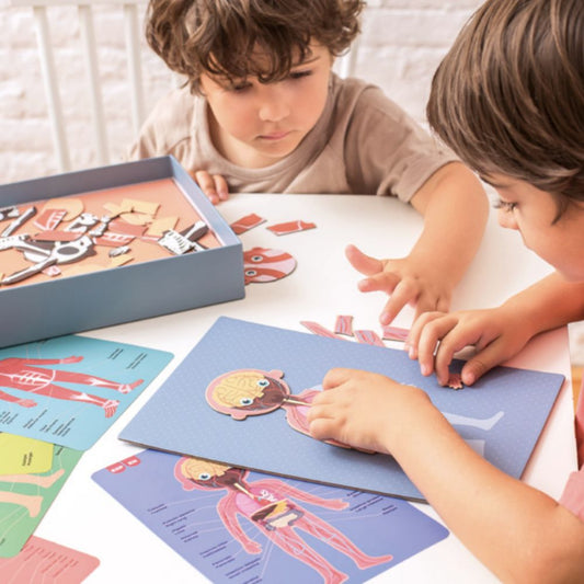Joc educativ cu piese magnetice, Corpul Uman, 63 piese, APLI, 5 ani+