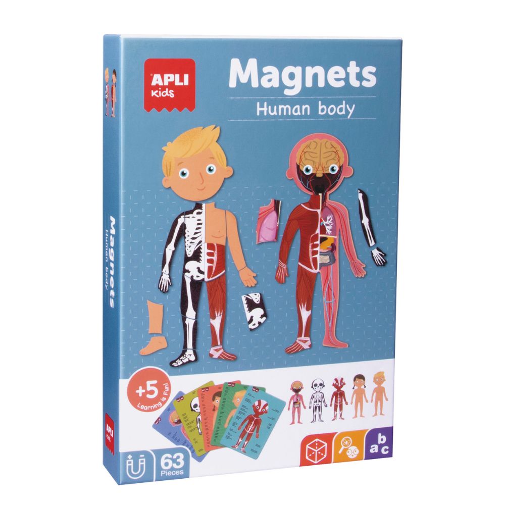 Joc educativ cu piese magnetice, Corpul Uman, 63 piese, APLI, 5 ani+