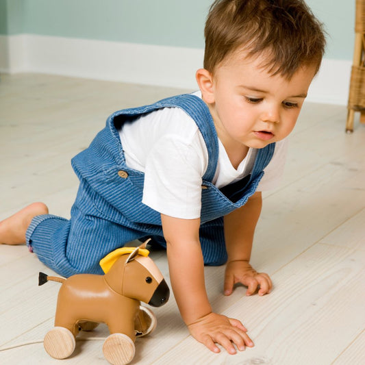 Jucărie de tras, Calul Charles, Little Big Friends, 12 luni+