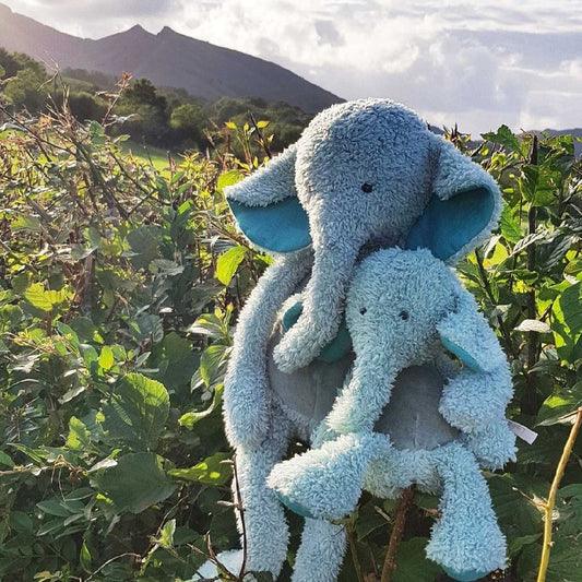 Jucărie moale de pluș, Micul Elefant, Moulin Roty, Albastru, 0 luni+