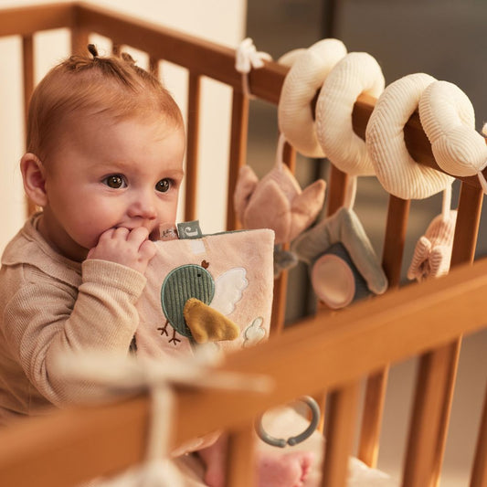 Spirală cu jucării și activități senzoriale pentru bebeluși, Lovely Birds, Jollein, 0 luni+