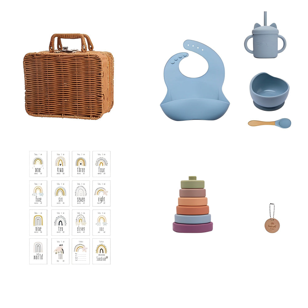 Set pentru bebeluşi, Powder, Geantă retro cu set diversificare și accesorii, 6 luni+