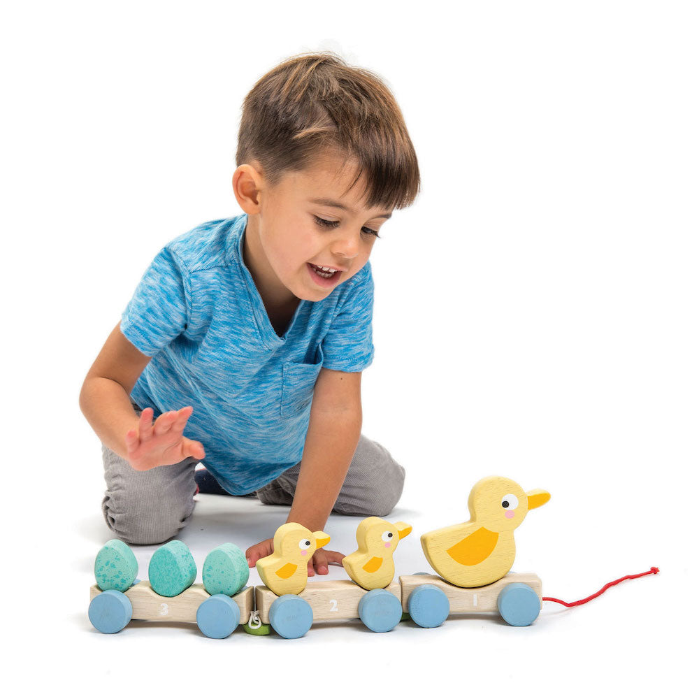 Trenuleț tractabil cu rățuște, Tender Leaf, Pull Along Ducks, 18 luni+