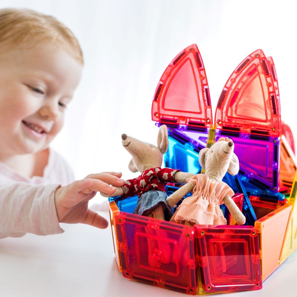 Set construcție cu plăci magnetice, Dome Pack, Learn & Grow, 18 piese, 3 ani+