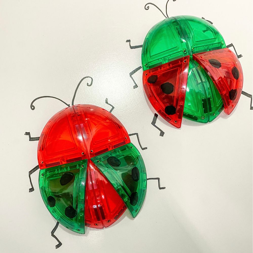 Set construcție cu plăci magnetice, Dome Pack, Learn & Grow, 18 piese, 3 ani+