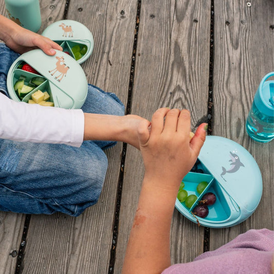 Caserolă compartimentată copii SnackDISC, Delfin, Carl Oscar