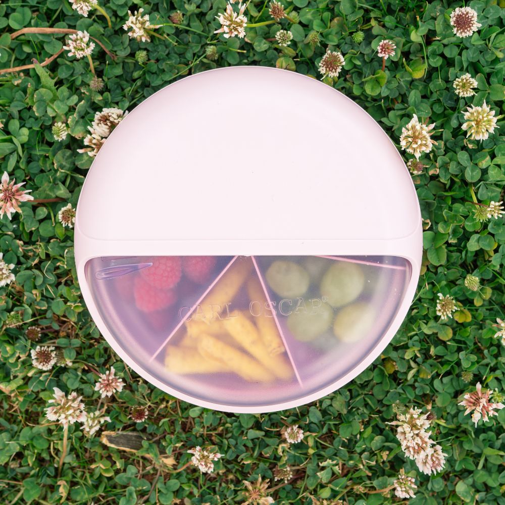 Discul alimentar detașabil al cutiei SnackDISC