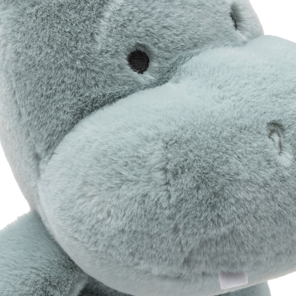 Chipul și dințișorii personajului Hippo Happy