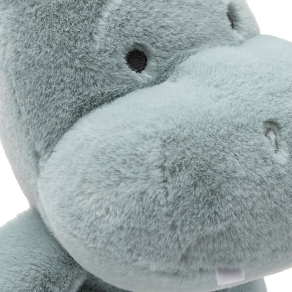 Chipul și dințișorii personajului Hippo Happy