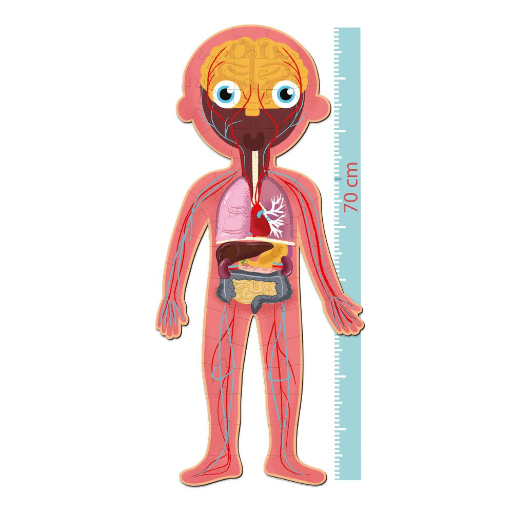 Puzzle educativ cu fișe, Corpul Uman, 240 piese, APLI, 5 ani+