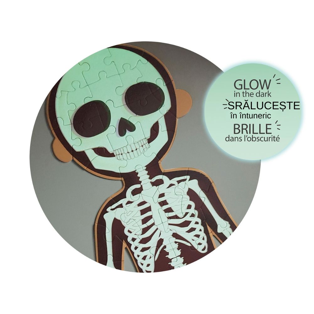 Puzzle educativ cu fișe, Corpul Uman, 240 piese, APLI, 5 ani+