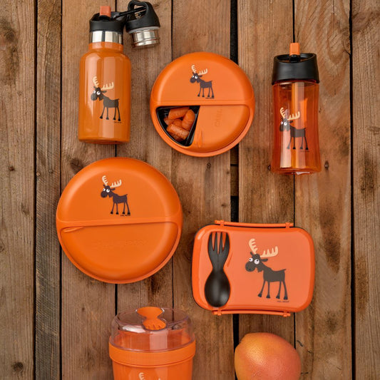 Sticlă apă copii inox, Orange Moose, 350 ml, Carl Oscar